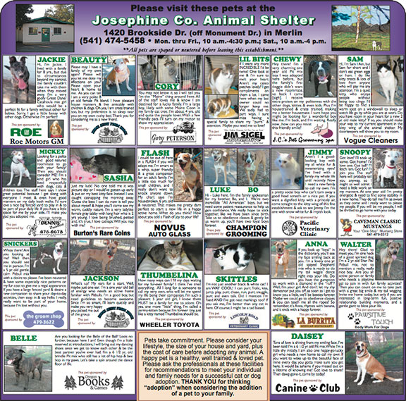 Josephine County Animal Shelter