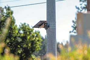 0813C_FlockCamera.jpg