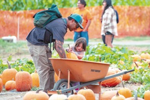 /articles/2026/10/01/fun_finder/1001E_bestBets_pumpkins.jpg