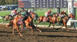 1013S_HorseRacing_MAIN.jpg