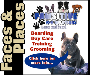 PawsitiveK9-BoxAd.jpg