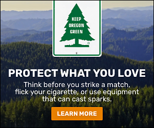 keeporegongreen_box.jpg